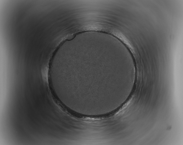 X0000092220434200709141047