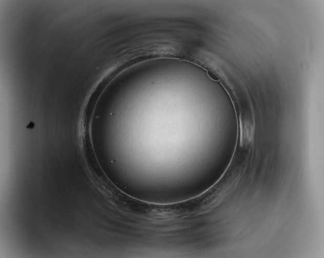 X0000092220435200709141047