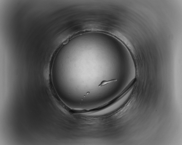 X0000092220437200709141047