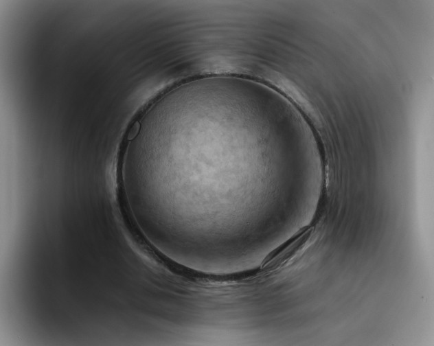 X0000092220438200709141047
