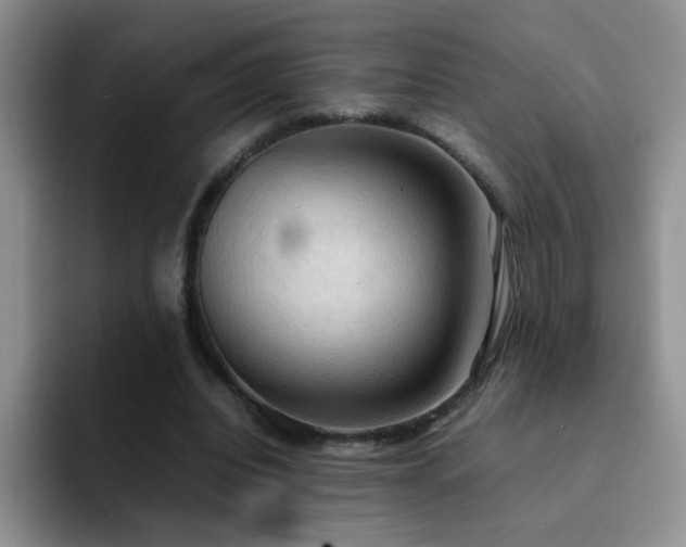 X0000092220440200709141047