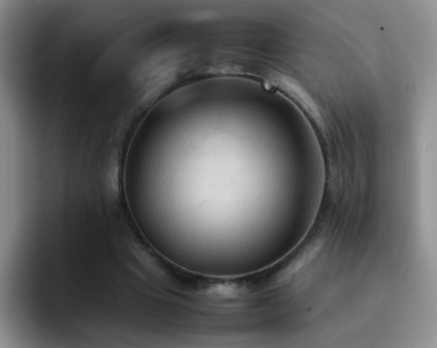 X0000092220441200709141047