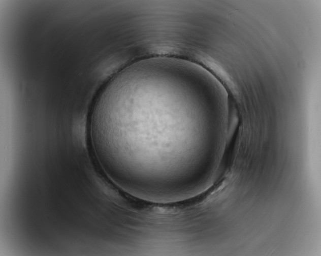 X0000092220442200709141047