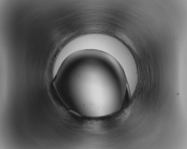 X0000092220444200709141047