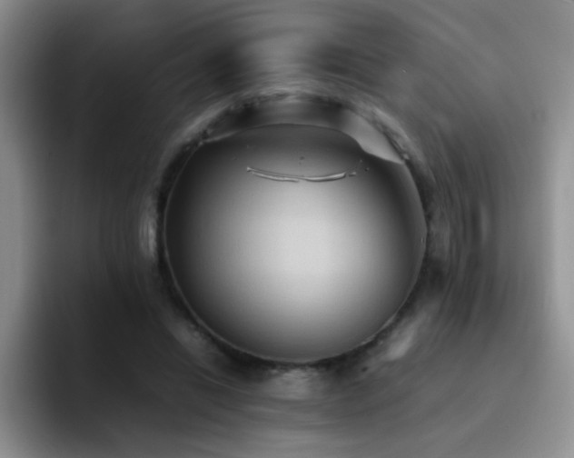 X0000092220446200709141047