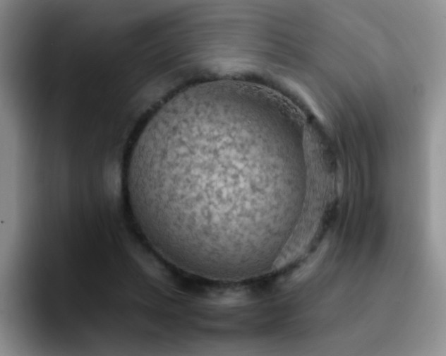 X0000092220447200709141047