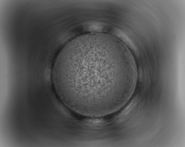 X0000092220449200709141047