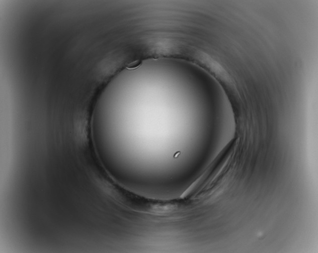 X0000092220450200709141047