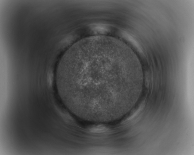 X0000092220451200709141047