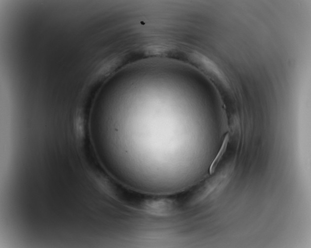 X0000092220452200709141047