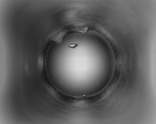 X0000092220454200709141047