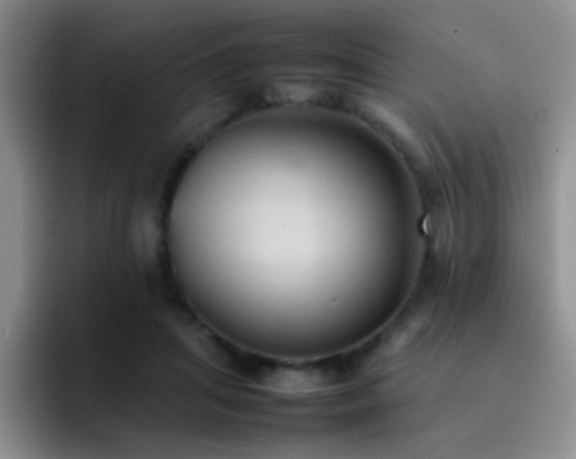 X0000092220455200709141048