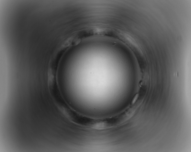 X0000092220456200709141048