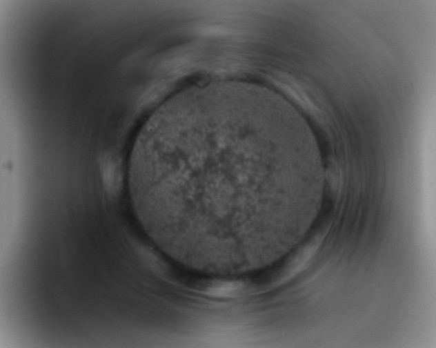 X0000092220458200709141048