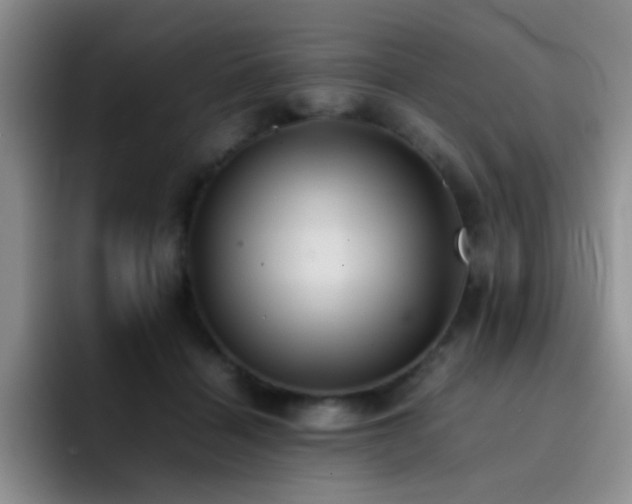 X0000092220460200709141048
