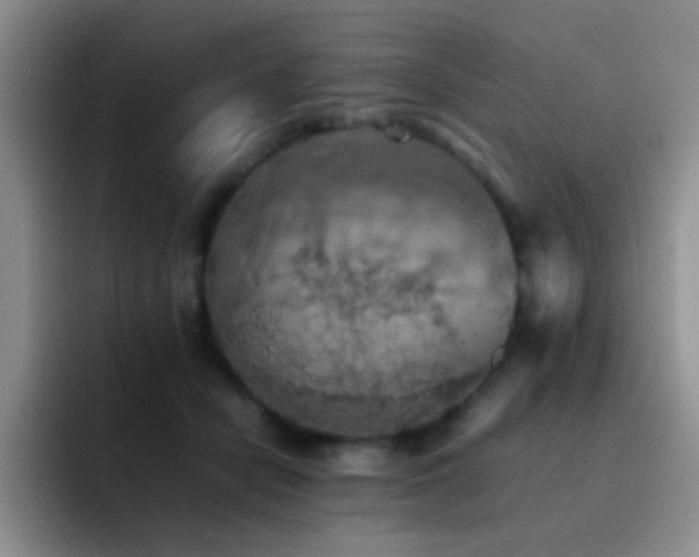 X0000092220462200709141048