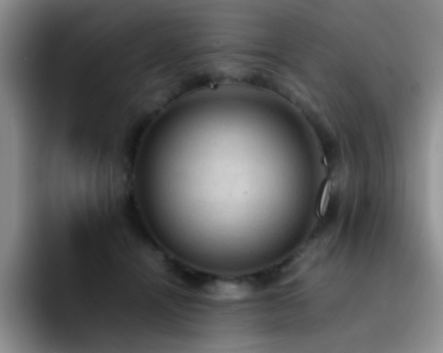 X0000092220464200709141048
