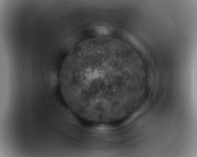 X0000092220467200709141048