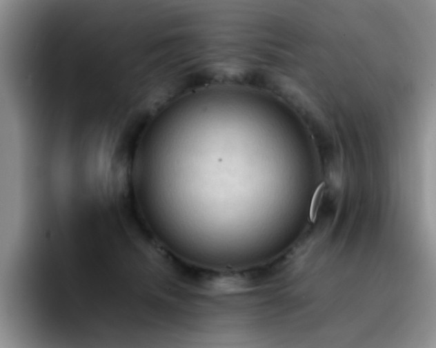 X0000092220468200709141048