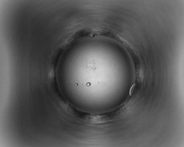 X0000092220472200709141048