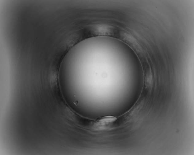 X0000092220473200709141048