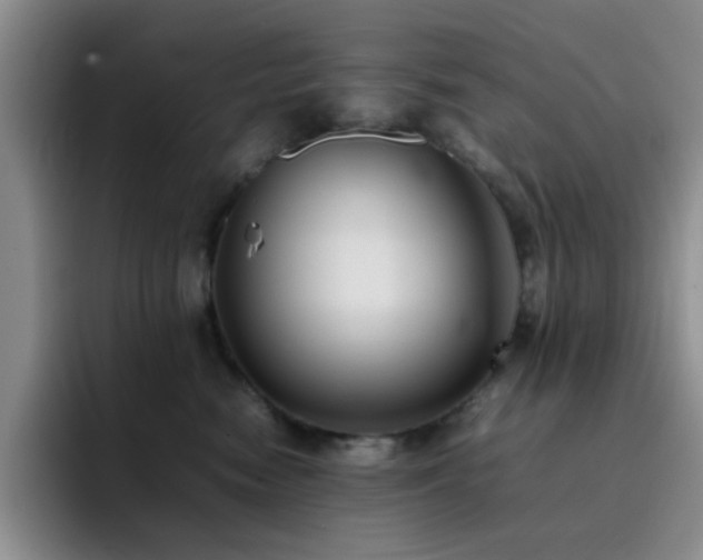 X0000092220474200709141048