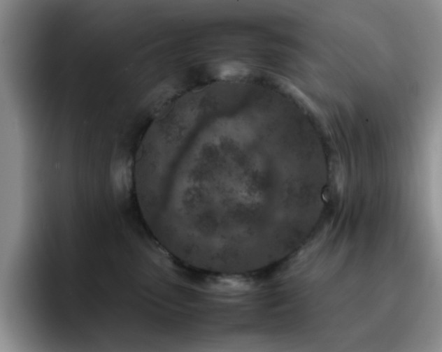 X0000092220475200709141048