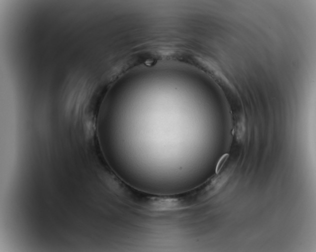 X0000092220476200709141048