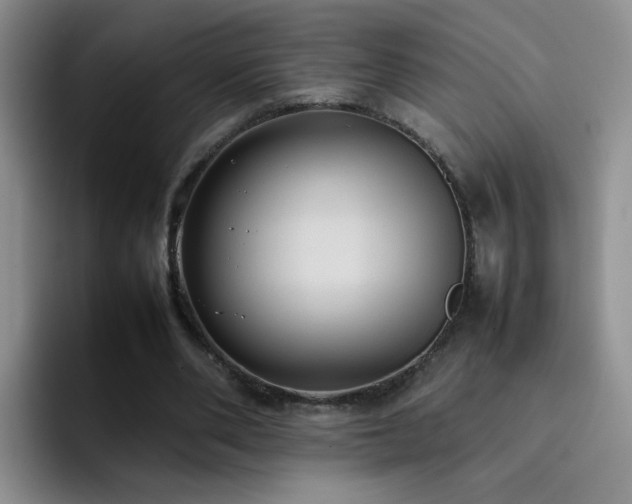 X0000092220486200709141047