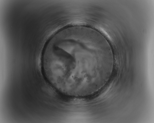 X0000092220487200709141047
