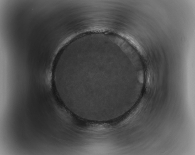 X0000092220488200709141047