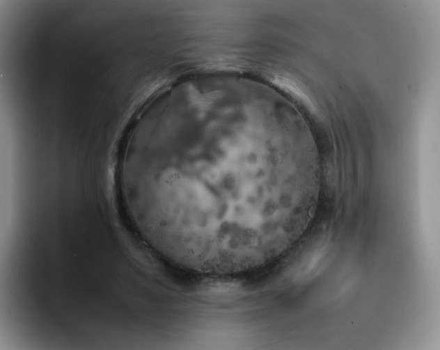 X0000092220491200709141047