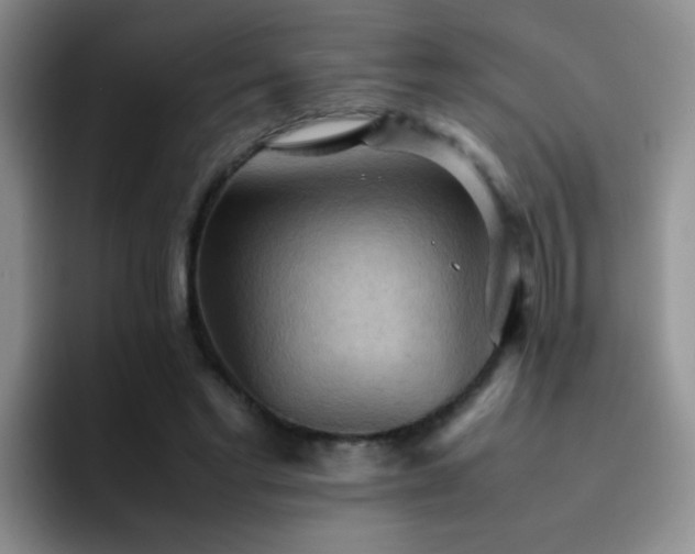 X0000092220493200709141047