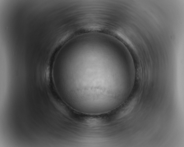 X0000092220494200709141047