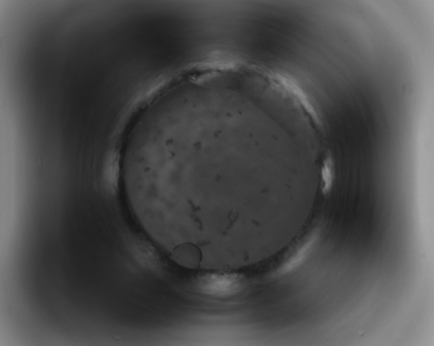 X0000092220495200709141047