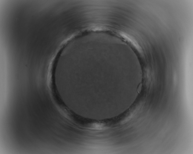 X0000092220496200709141047