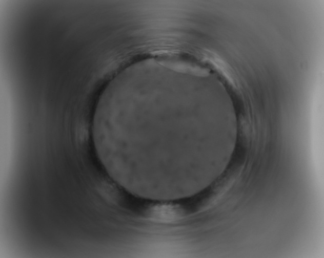 X0000092220499200709141047