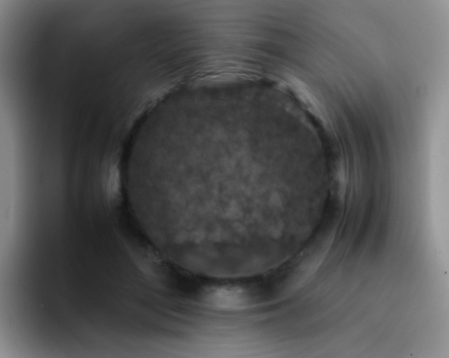 X0000092220500200709141047