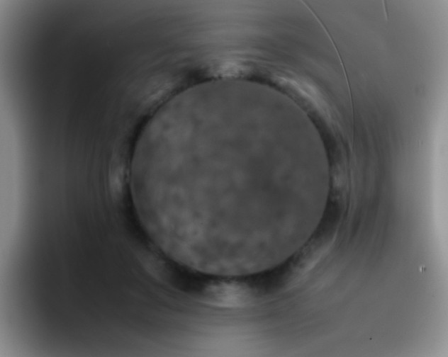 X0000092220503200709141047