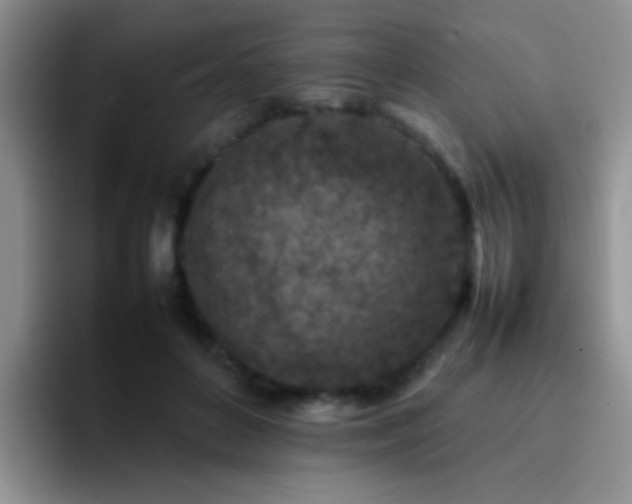 X0000092220504200709141047