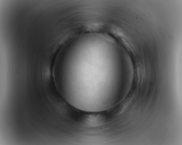X0000092220508200709141047