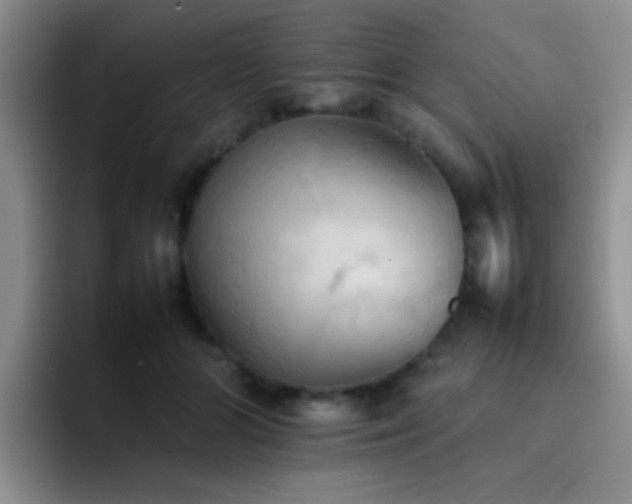 X0000092220510200709141047