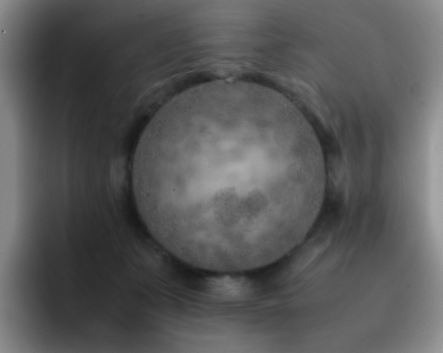 X0000092220511200709141047