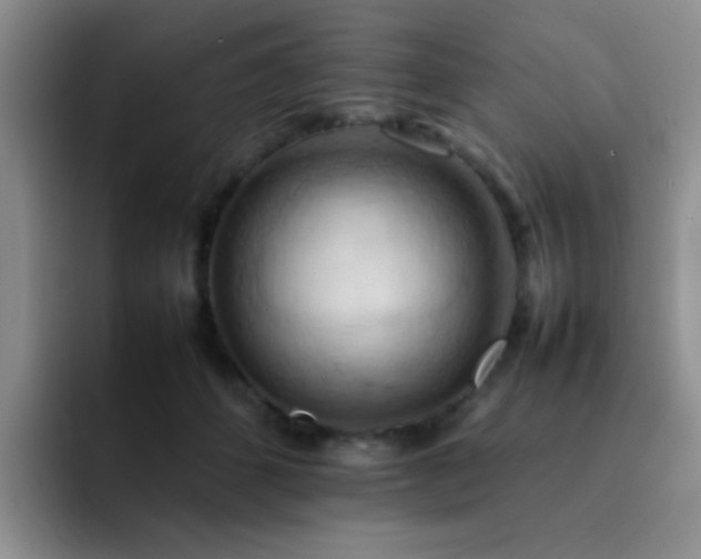 X0000092220512200709141047