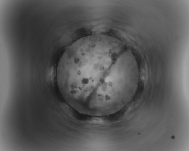 X0000092220519200709141047