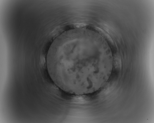 X0000092220523200709141047