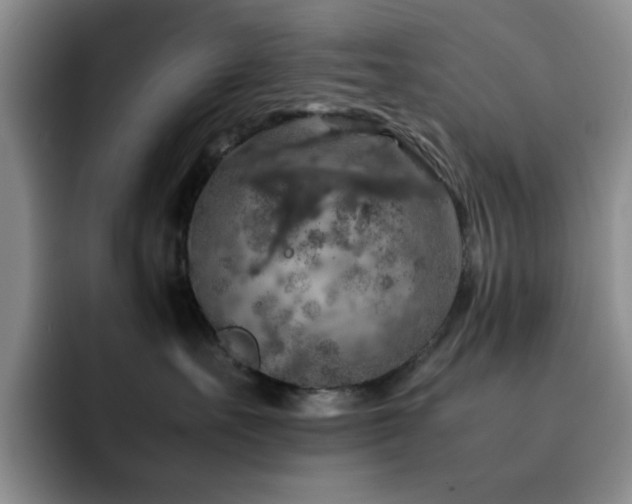 X0000092220527200709141047