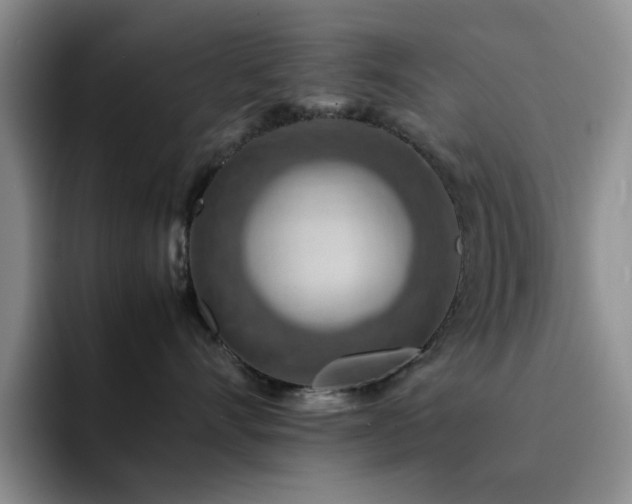 X0000092220528200709141047