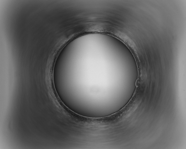 X0000092220529200709141046