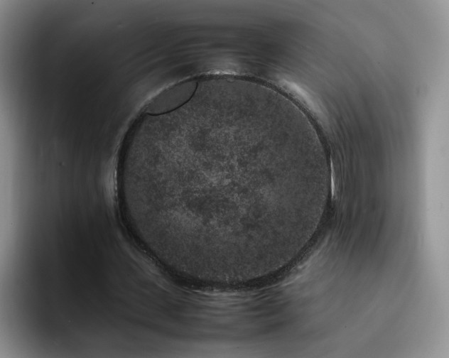 X0000092220531200709141046